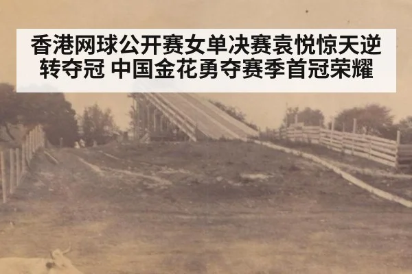香港网球公开赛女单决赛袁悦惊天逆转夺冠 中国金花勇夺赛季首冠荣耀